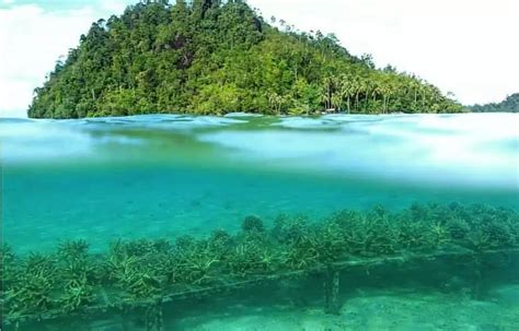 Kawasan Wisata Pulau Mandeh, Intip Keseruannya!