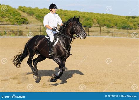 Rider in the jumping show stock photo. Image of runner - 10725750