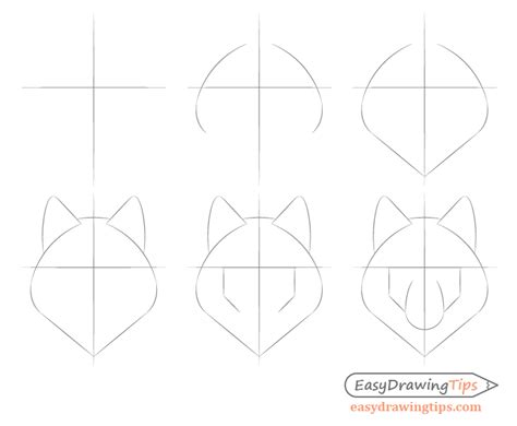 How to Draw a Wolf Face & Head Step by Step - EasyDrawingTips