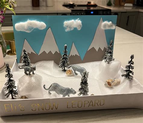 Snow leopard diorama in 2024 | Diorama kids, Snow leopard art, Snow leopard