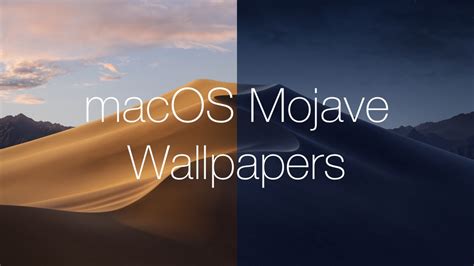 Download the New macOS Mojave Wallpapers [Light and Dark]