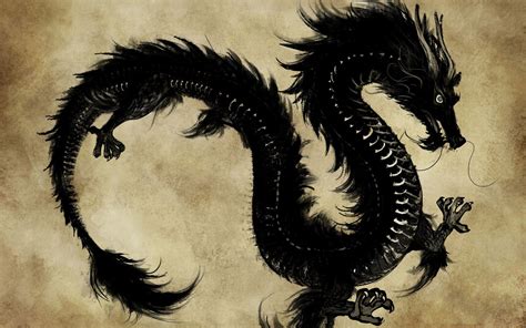 🔥 [120+] Chinese Dragon Wallpapers | WallpaperSafari