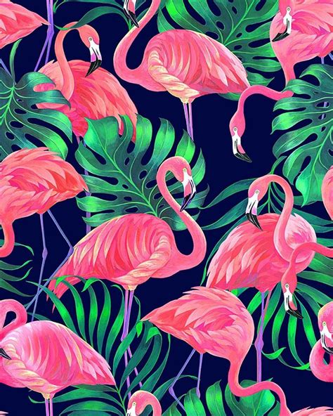 Tropical Flamingo Wallpapers - 4k, HD Tropical Flamingo Backgrounds on WallpaperBat