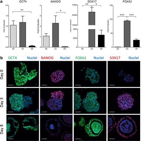 Evaluation of pluripotent and definitive endoderm markers. a ...