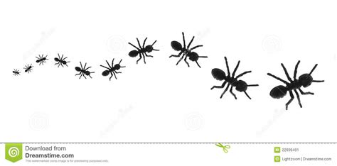 Free Marching Ants Cliparts, Download Free Marching Ants Cliparts png images, Free ClipArts on ...