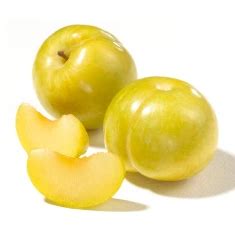 Plumcot Varieties - HEB