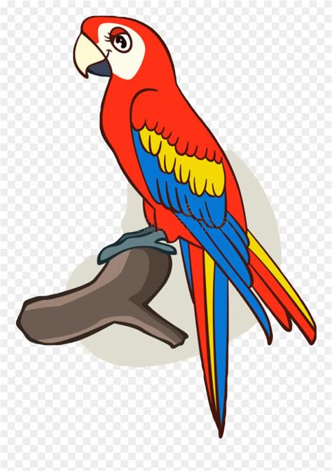 Cute Parrot Drawing | Free download on ClipArtMag