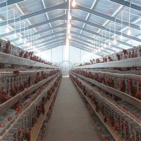 2019 High Quality Large-Scale Modern Poultry Farm Chicken House Design for Broiler Birds-Lida Group