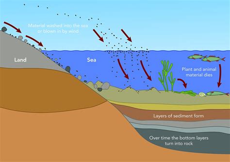 Formation of sedimentary rock | Illustration used in Gr 4-6 … | Flickr