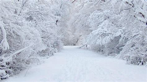 10 Latest Winter Wonderland Background Pictures FULL HD 1080p For PC Background | Winter ...