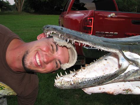 The best fishing guide service for trophy alligator gar in texas