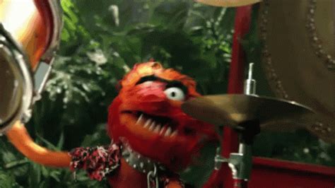 Drumming GIF - Animal Muppets Drum - Discover & Share GIFs