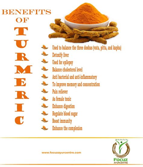 Benefits of Curcuma Longa - turmeric. Ayurvedic medicinal usage. | Turmeric, Benefit, Health