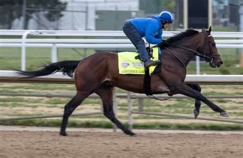 Kentucky Derby 2023 horses - NimrodVicente