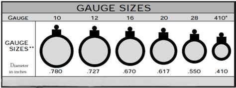 Buckshot Shotgun Shot Size Chart Shotgun Shells A High Level Overview | SexiezPicz Web Porn