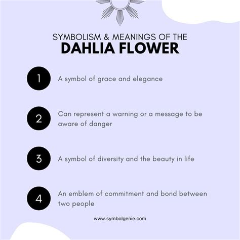 Dahlia Flower: Symbolism, Meanings, and History - Symbol Genie