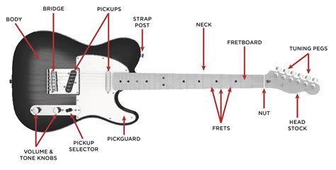 Parts Of An Electric Guitar Diagram