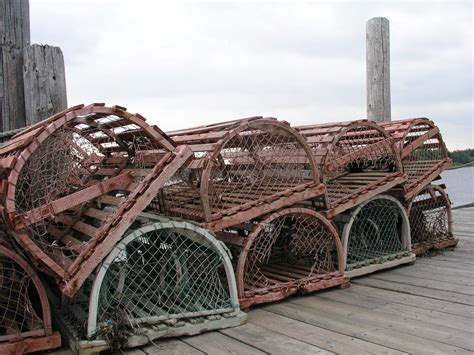 Free Lobster Traps Stock Photo - FreeImages.com