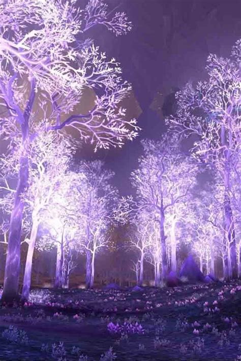 Forest | Purple aesthetic, All things purple, Purple love