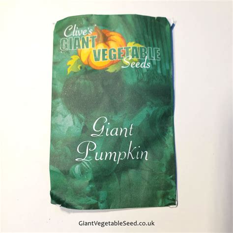 Giant Pumpkin Seeds - Giant Vegetable Seed