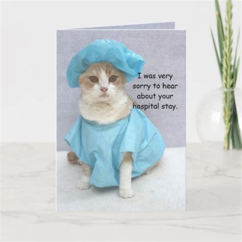 Funny Cat Get Well Cards - Well Wishes Cards | Zazzle.ca