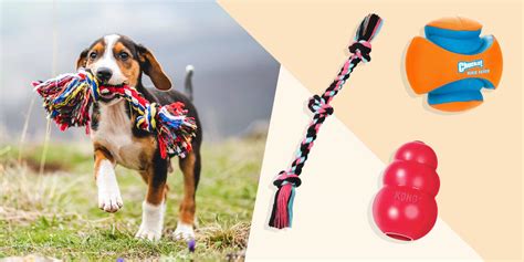 The 16 best dog toys to entertain every type of dog in 2021