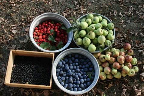 Gleaning the Fields - Preparedness AdvicePreparedness Advice