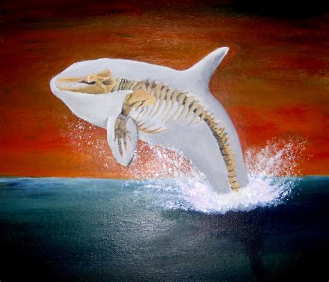 "Killer Whale Skeleton " by Kate Gorrie | Redbubble