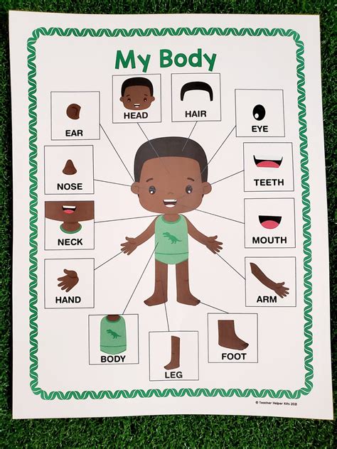 My Body Parts Poster Human Body Parts All About My Body - Etsy