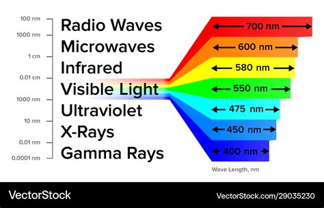 Electromagnetic spectrum information gamma rays Vector Image