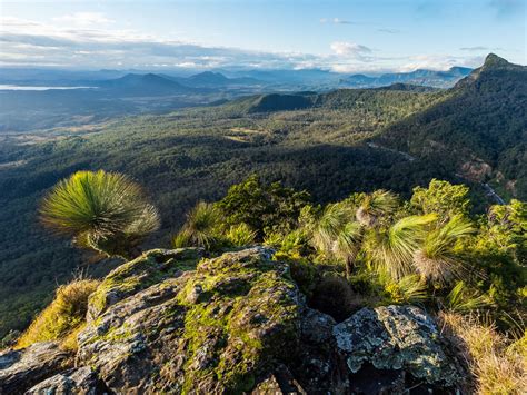 Scenic Rim Trail | Main Range National Park | Parks and forests | Department of Environment and ...