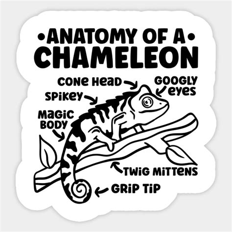 Chameleon Anatomy Of A Chameleon - Chameleon - Sticker | TeePublic