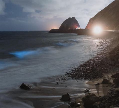 Bioluminescent waves will illuminate beaches of southern California ...