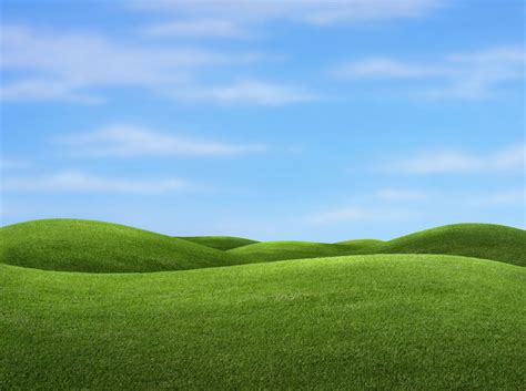 Grass and Sky Wallpaper - WallpaperSafari