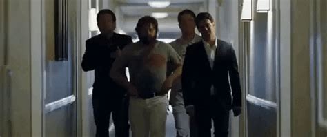 The Hangover GIFs - Find & Share on GIPHY