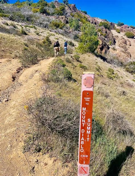 Mount Diablo Summit Hike: Mitchell Creek to Diablo Summit