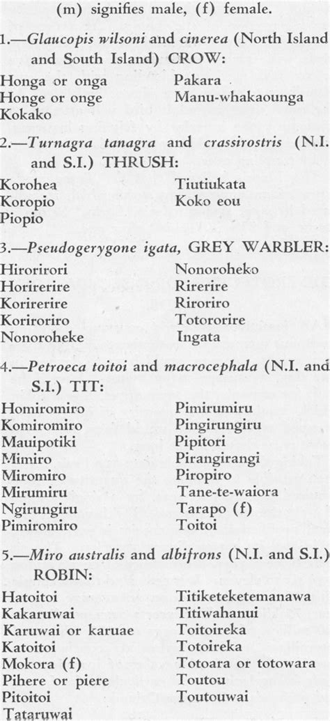 Maori Names Of Animals The Animals Of New Zealand