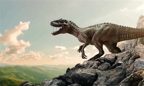 The Jurassic Period: Animals, Plants, and When It Happened - A-Z Animals