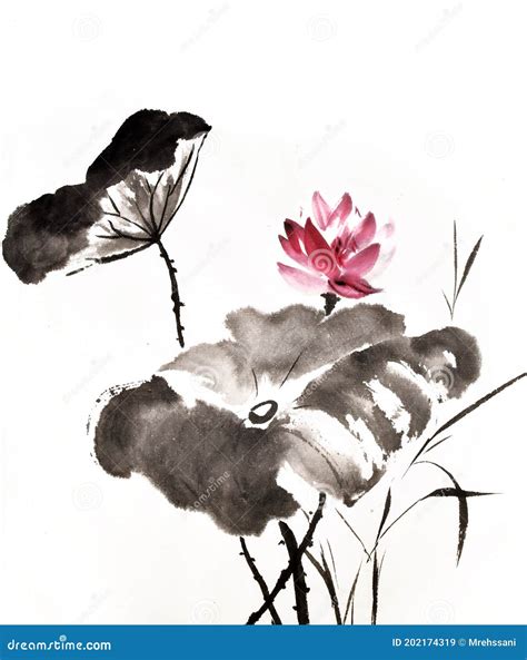 Hand Painted Ink Brush Painting of Lotus Flower in Chinese Oriental Style Stock Illustration ...