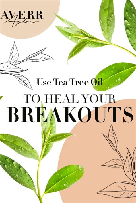 Tea Tree Oil for Acne: Your Questions Answered | Tea tree oil for acne ...