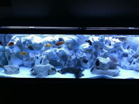 African Cichlids Tank Setup Ideas