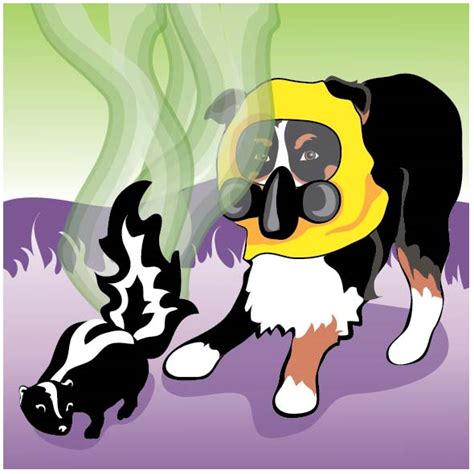 My Dog Was Sprayed by a Skunk! Now What? | BioStar US