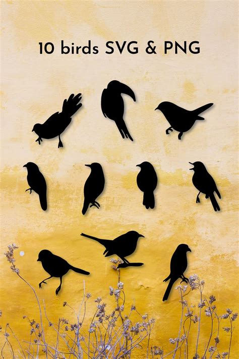 Birds. Bird SVG. Bird Silhouette. Bird clipart. Bird PNG.