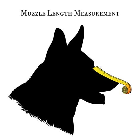 Muzzle Sizing Guide – DogSport Gear