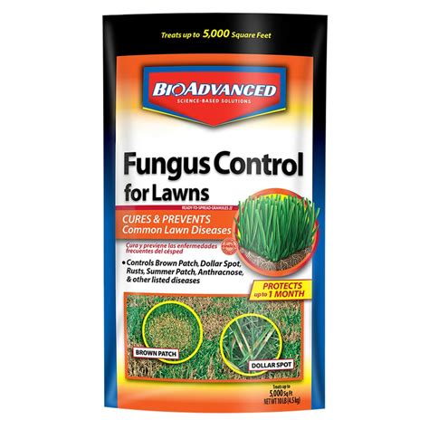 Shop BAYER ADVANCED Fungus Control Granules for Lawns at Lowes.com