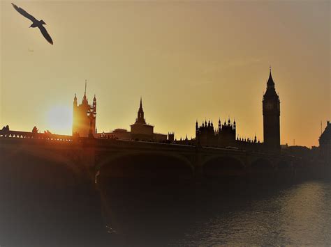 "Big Ben sunset" Real Photos, Big Ben, Cool Pictures, Travel Photography, Sunrise, Greats, Trip ...