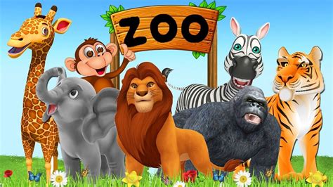 Zoo Animals Pictures And Sounds | Wallpaper Site