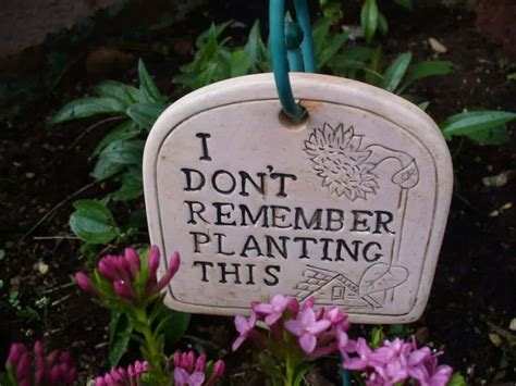 25 super funny Garden signs - A girl and a glue gun