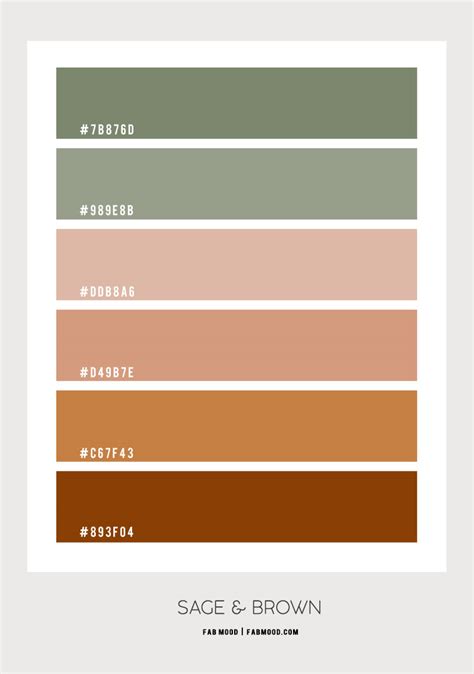 Brown and Sage Colour Palette | sage and brown color scheme