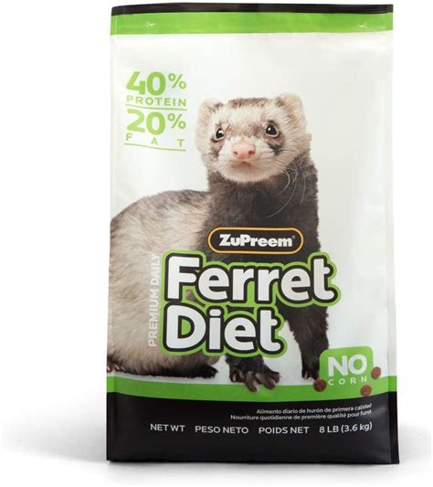 Ferret Food: 7 Best Ferret Food You Can Buy in 2020 From Amazon UK